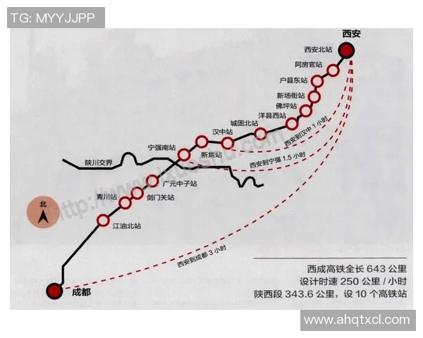成都排球队与西安排球队个人能力对比分析赛后复盘