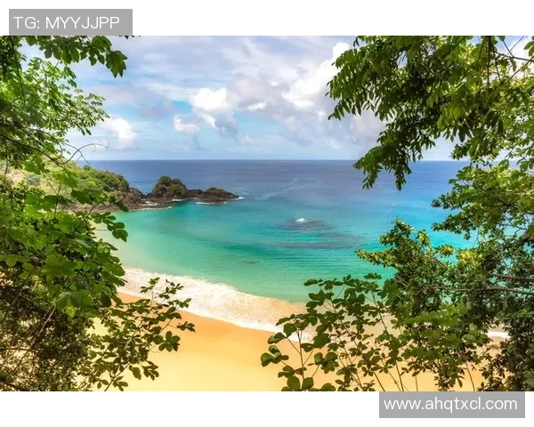 探索阿拉巴的魅力与文化遗产，感受独特的风土人情与自然风光